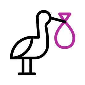 Zu versichernde Person | Neugeborenes bis zwei Monate nach Geburt